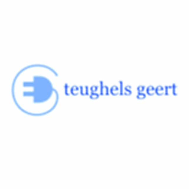 Electricien Geert Teughels partner Art & Classics